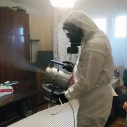 Дезинфекция от клопов в Дивногорске