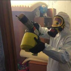 Уничтожение клопов в квартире. Дивногорск
